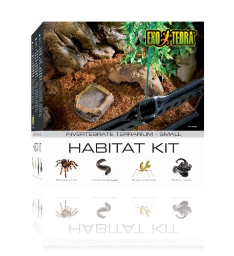 Exo Terra PT2654 Habitat Kit Invertebrate - 2