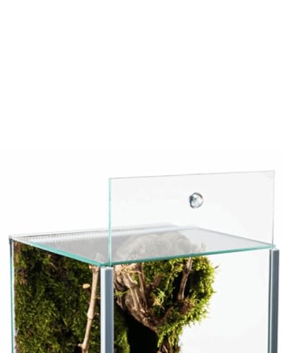 Glasterrarium 20x20x30 Falltür - 4