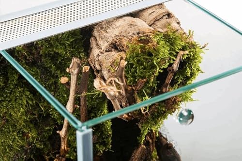 Glasterrarium 20x20x30 Falltür - 5