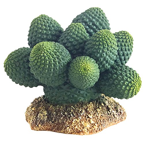 Hobby 37018 Kaktus Atacamma, Höhe 7 cm