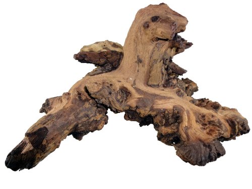 Wurzel aus Mopaniholz ca. 25-40 cm, Dekoration für Terrarium