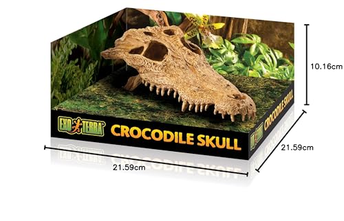 Exo Terra PT2856 Krokodilschädel – Totenschädel Versteck für Reptilien, 23 x 12 x 7.5 cm - 5