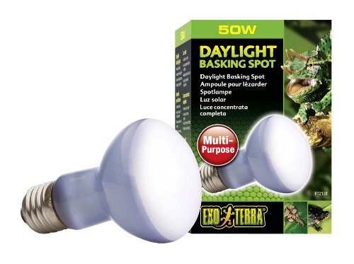 Exo Terra PT2131 Daylight Basking Spot – Breitspektrum-Tageslichtlampe für Terrarien