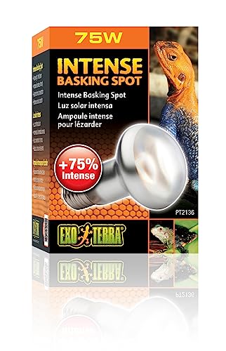 Exo Terra PT2136 Intense Basking Spot - Wärmespotlampe S20/75W