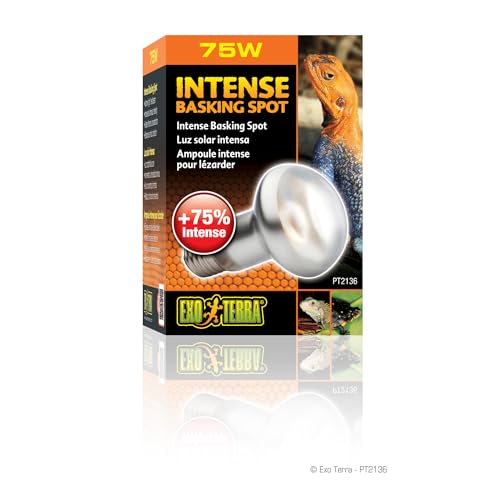 Exo Terra PT2136 Intense Basking Spot – Wärmespotlampe S20/75W - 2