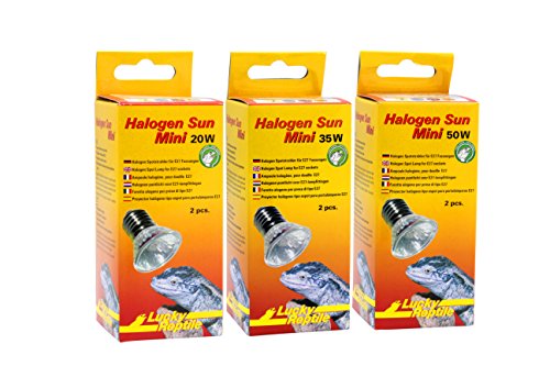 Lucky Reptile HSM-35 Halogen Sun Mini 35 W Doppelpackung, Wärmestrahler für E27 Fassung - 4