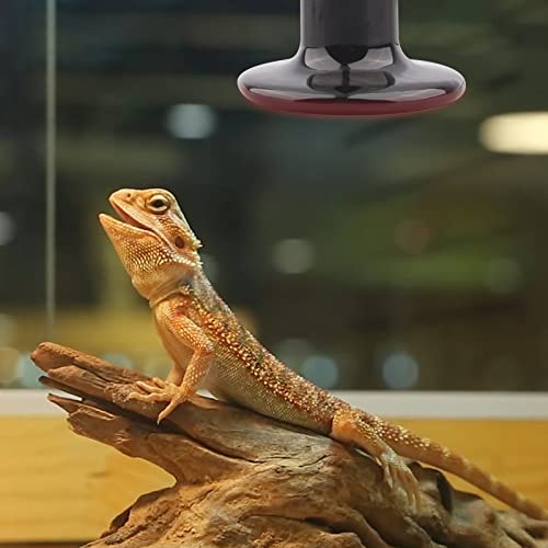 AIICIOO Terrarium Waermelampe Keramik Reptilien Wärmelampe Tiere für Eidechse/Bartagame/Hühner/SchlangeKein Licht um die Augen der Tiere zu Schützen 220V E27 (75W) - 8