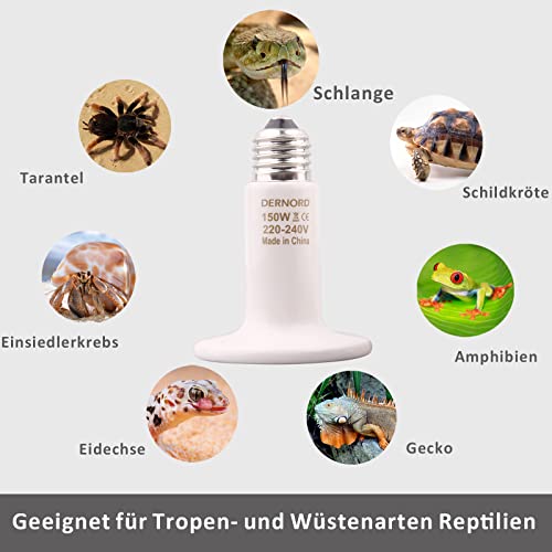 DERNORD Reptilien Wärmelampe Terrarium 150 Watt 2 Stück – Keramik Heizstrahler für Schildkröte Urzeitkrebse Spider Küken Schlangen - 7