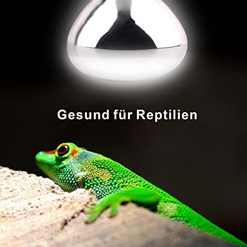 DERNORD UVA UVB Wärmelampe- UV Licht Lampe 80 Watt für Schildkrötenhaus Gecko Bartagamen Terrarium Solar Strahler Vollspektrum Tageslichtlampe E27 Fassung - 3
