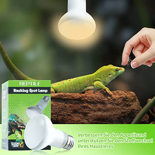 LUCKY HERP 2 Pack 50W Terrarium Lampe Reptilien-Wärmelampe Basking Spot, Amphibien-Sonnenglühlampe, Reptil-Tageslichtbirne für Schildkröten, Bartagamen, Eidechsen-Heizungsverwendung - 3