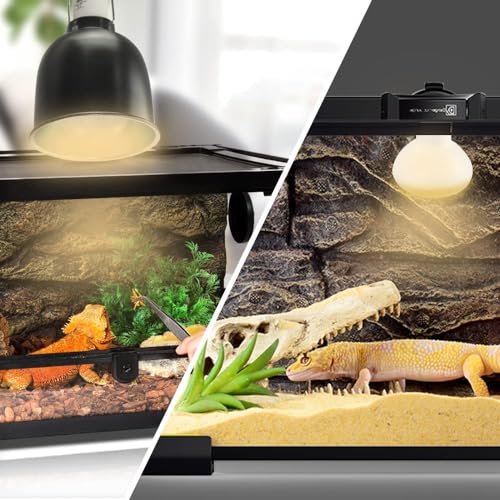 LUCKY HERP 2 Pack 50W Terrarium Lampe Reptilien-Wärmelampe Basking Spot, Amphibien-Sonnenglühlampe, Reptil-Tageslichtbirne für Schildkröten, Bartagamen, Eidechsen-Heizungsverwendung - 5