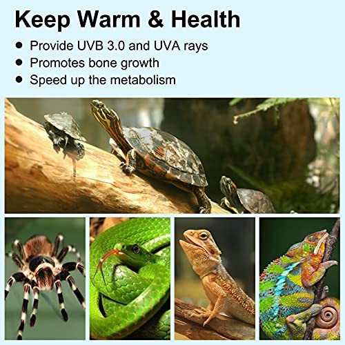 PewinGo Schildkröte Wärmelampe, Wärmespotlampe für Aquarium Reptil mit 2 UVA UVB Basking Spot Glühbirnen und 360°Schwenkklemme für Schildkröte, Schlange, Eidechse, Kakadu, Chamäleon usw - 2