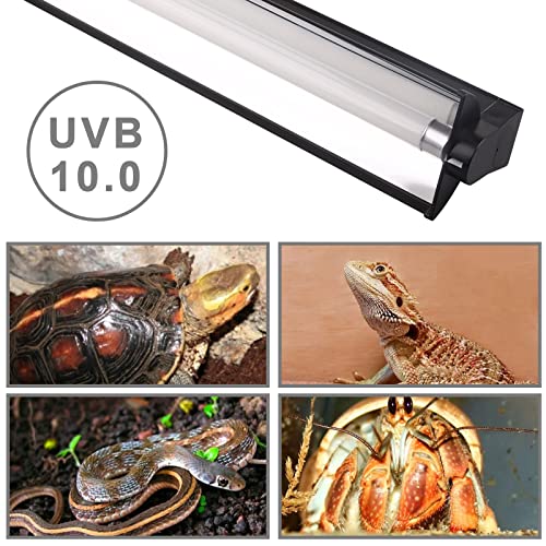 DERNORD T5 UVB Reptile Leuchte Combo Kit Uvb Bulb Reptile Zubehör für Bartige Drachenschildkröte 10.0 8W - 7