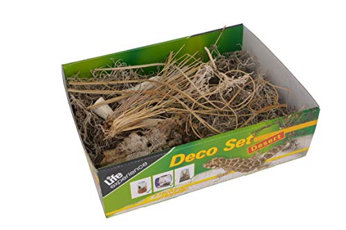 Lucky Reptile Life Experience Deco Set Wüste, Dekoartikel für Terrarien, 1 Stück (1er Pack) - 2