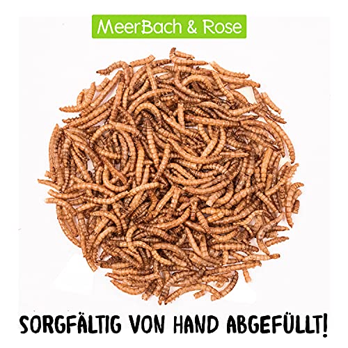 Mehlwürmer getrocknet, 800g (entspricht 5 L) getrocknete Mehlwürmer im praktischen Eimer, proteinreicher Snack für Wildvögel, Fische, Reptilien und Nager - 3