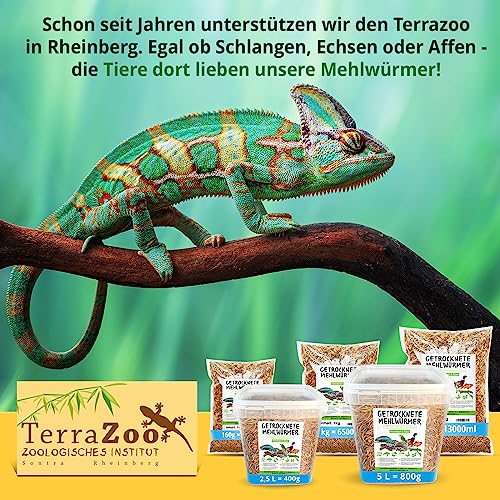 Mehlwürmer getrocknet, 800g (entspricht 5 L) getrocknete Mehlwürmer im praktischen Eimer, proteinreicher Snack für Wildvögel, Fische, Reptilien und Nager - 4