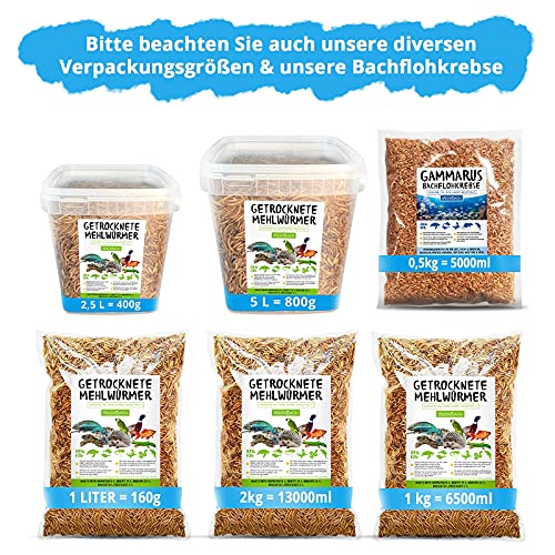 Mehlwürmer getrocknet, 800g (entspricht 5 L) getrocknete Mehlwürmer im praktischen Eimer, proteinreicher Snack für Wildvögel, Fische, Reptilien und Nager - 8