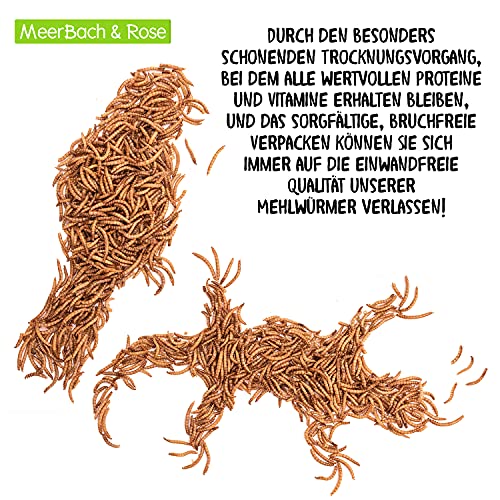 Mehlwürmer getrocknet, 800g (entspricht 5 L) getrocknete Mehlwürmer im praktischen Eimer, proteinreicher Snack für Wildvögel, Fische, Reptilien und Nager - 9