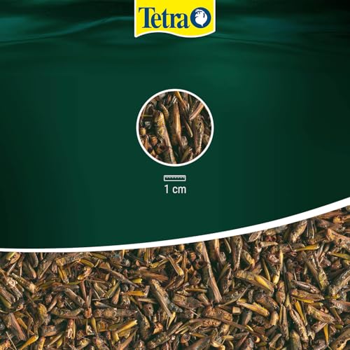 Tetra ReptoDelica Grasshoppers Schildkröten-Futter – Naturfutter aus getrockneten Heuschrecken, 250 ml Dose - 4