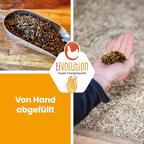 eivolution Soldatenfliegenlarven getrocknet I 800g I Reich an Protein I Hochwertige Hermetialarven als Hühnerfutter I auch geeignet als Vogel-, Fisch oder Wachtelfutter - 6