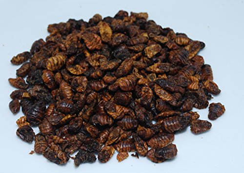 500 ml Seidenraupenpuppen/Silkworm gefriergetrocknet gefriergetrocknete/getrocknet | Reptilienfutter, Schildkrötenfutter, Futtertiere Igelfutter Vogelfutter/Seidenraupen Koifutter Fischfutter - 2