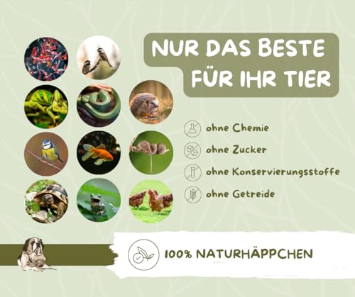 Garnelen (River Shrimps) Koifutter, Reptilienfutter von Warnick´s Tierfutterservice (5.000ml) - 7