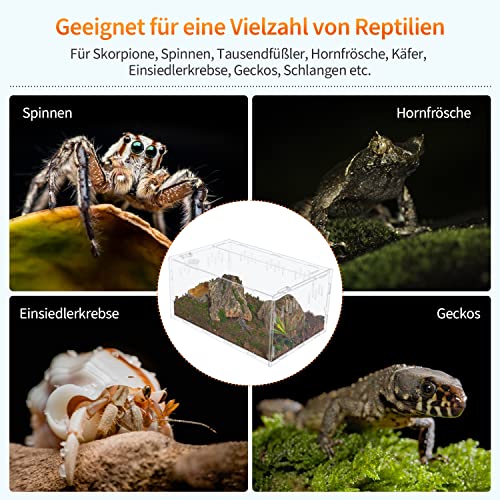 aleawol Extra Groß Acryl Terrarium Reptile Fütterungsbox 38 x 25 x 19cm, Transparent Reptilienzuchtbox Reptilien Box, Terrarium Transportbox für Spinne Eidechse Skorpion Tausendfüßler Gehörnter Frosch - 8