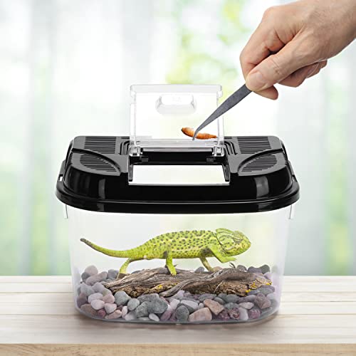 Nobleza – Transparent Kunststoff Faunarium Reptilienbehälter Transport und Fütterungsbox für Reptilien-Spinne Eidechse Frosch Cricket Turtle Crab Snack, S/M/L/XL/XXL (M(22.4 * 15.3 * 15.3cm)) - 5