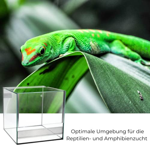 GarPet Glas Terrarium 30x30x30 cm Reptilien Amphibien Spinnen Glasterrarium - 3