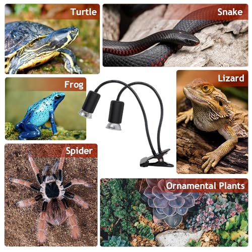 testyu Doppelende Schildkröte Wärmelampe, 25W+50W Reptilien Heizlampe E27, UVA+UVB Terrarium Wärmespotlampe mit 2 Basking Spot Glühbirnen für Eidechse, Schildkröte, Kakadu, Schlange, Chamäleon Usw - 7