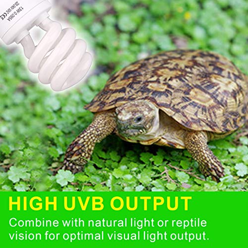 AIICIOO UVB Licht Reptilien Kit 10.0 23W - Terrarium Sonnenlicht Lampe Schildkrötenbirne für Bartagamen Eidechse Leopardgecko 1 Packung - 6