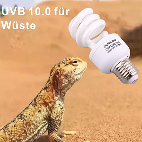 DERNORD UV Lampe Terrarium - UVB und UVA Light Bulb Tiere Kompaktlampe für Wellensittich Leopardgecko Schildkröten Wärmelampe 10.0 13 Watt - 5