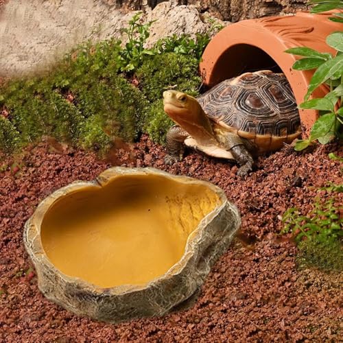 MUYYIKA Wasserschale Terrarium, Schildkröten Zubehör, Reptilien Wasserschale, Futterschale, Terrarium Trinkschale, Wassernapf, Schale, Zubehör für Schlange, Schildkröte, Gecko - 9