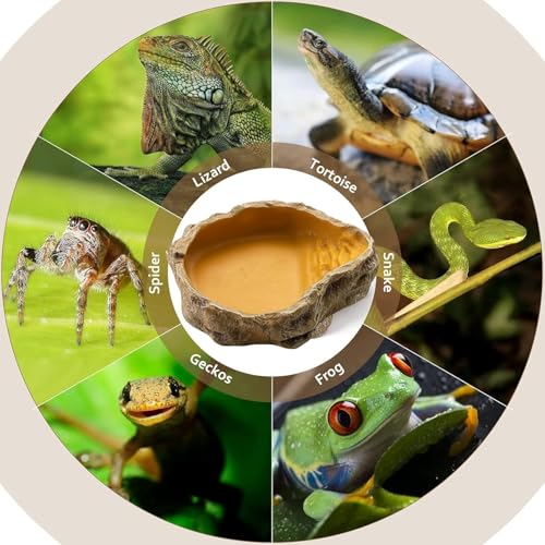 MUYYIKA Wasserschale Terrarium, Schildkröten Zubehör, Reptilien Wasserschale, Futterschale, Terrarium Trinkschale, Wassernapf, Schale, Zubehör für Schlange, Schildkröte, Gecko - 10