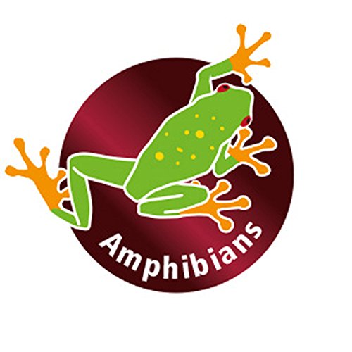 Hobby 36264 Trinkschale flach M, M, 12 x 8 x 2 cm - 2