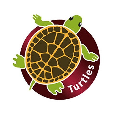 Hobby 36264 Trinkschale flach M, M, 12 x 8 x 2 cm - 4