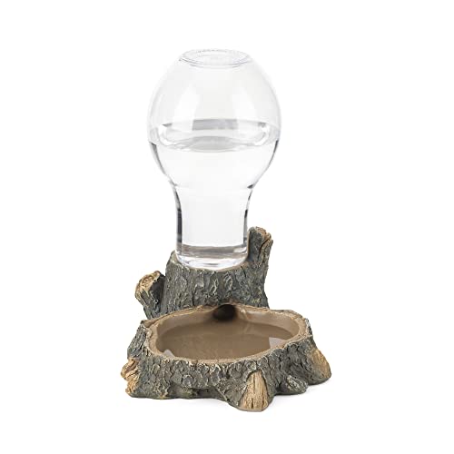 Navaris 400ml Schildkröten Wasserschale - Wasserspender für Reptilien - Wasser Tränke Trinkschale für u.a. Eidechse Schildkröte Gecko Schlange - 6